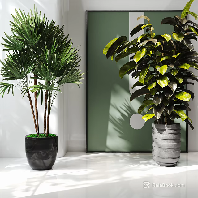 Lush Green Leafy Potted Plants in Black and Gray Textured Pots Modern Indoor Decor 3d model 