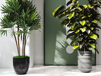 Lush Green Leafy Potted Plants in Black and Gray Textured Pots Modern Indoor Decor 3d model