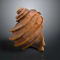 Brown Spiral Seashell With Layered Texture And Shiny Surface On Dark Background