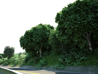 Smooth Municipal Road With Clear Lane Markings And Green Trees On Both Sides 3d model