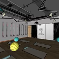 Modern Indoor Fitness Studio With Yoga Mats Fitness Balls And Suspension Straps