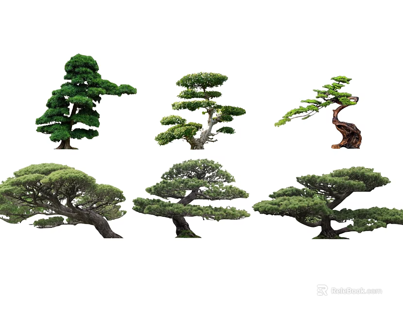 Artistic Shaped Bonsai Trees With Unique Forms And Lush Green Foliage 3d model 