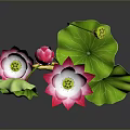 Pink Lotus Shaped Dessert With Green Leaf Decor On Black Background
