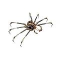 Steampunk Mechanical Spider With Metallic Legs Gears And Vintage Design