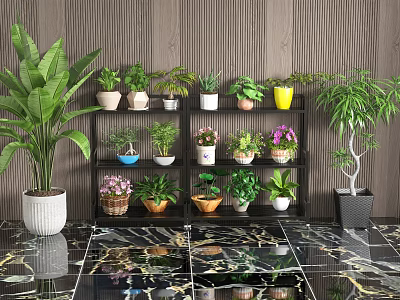 Decorative Indoor Bonsai And Potted Plants On Multi Layer Shelf With Marble Floor 3d model