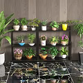 Decorative Indoor Bonsai And Potted Plants On Multi Layer Shelf With Marble Floor