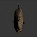 Spotted Orange Brown Fish With Dark Spots And Large Eyes On Reflective Surface