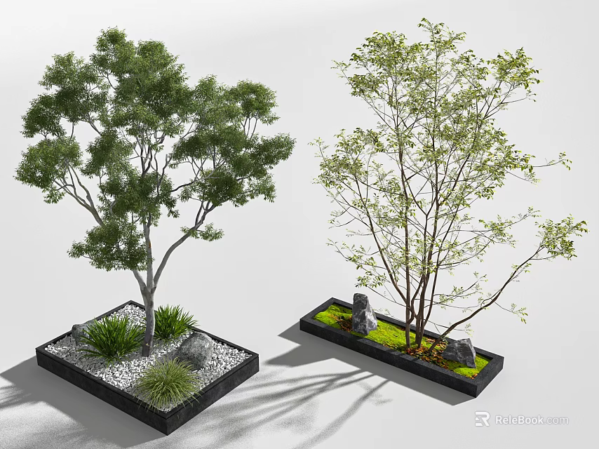 Two Arbor Trees in Square Planter Boxes with Pebbles Small Plants and Stones 3d model 