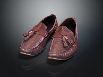 Stylish Brown Leather Loafers With Tassel Detail For Men's Casual Formal Wear 3d model