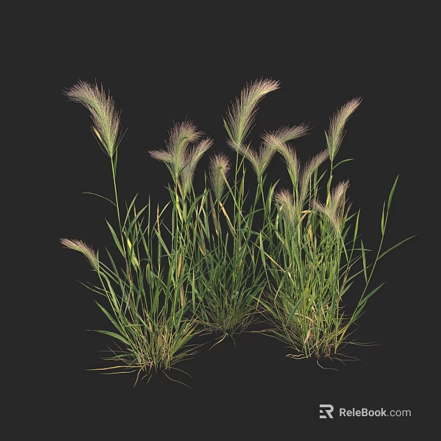 Lush Purple Grass With Green Leaves Growing On Black Background 3d model 