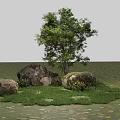 Hanging Basket Green Plants with Trees Rocks and Grass in Dark Garden Decor