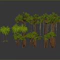 Diverse Green Plants with Tall and Short Trees Including Palms and Tropical Varieties