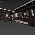 Modern Walk In Closet With Organized Storage Cabinets Hanging Clothes And Drawers