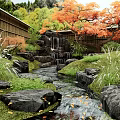 Japanese Garden Water Fountain With Stream Stones Bamboo Fence Greenery And Red Maple Tree