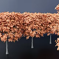 Autumn Colored Trees With Orange Red Leaves And Gray Trunks Against Dark Background