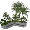 Green Plants Including Palm Tree And Ferns In White Tiered Planters With Light Blue Background