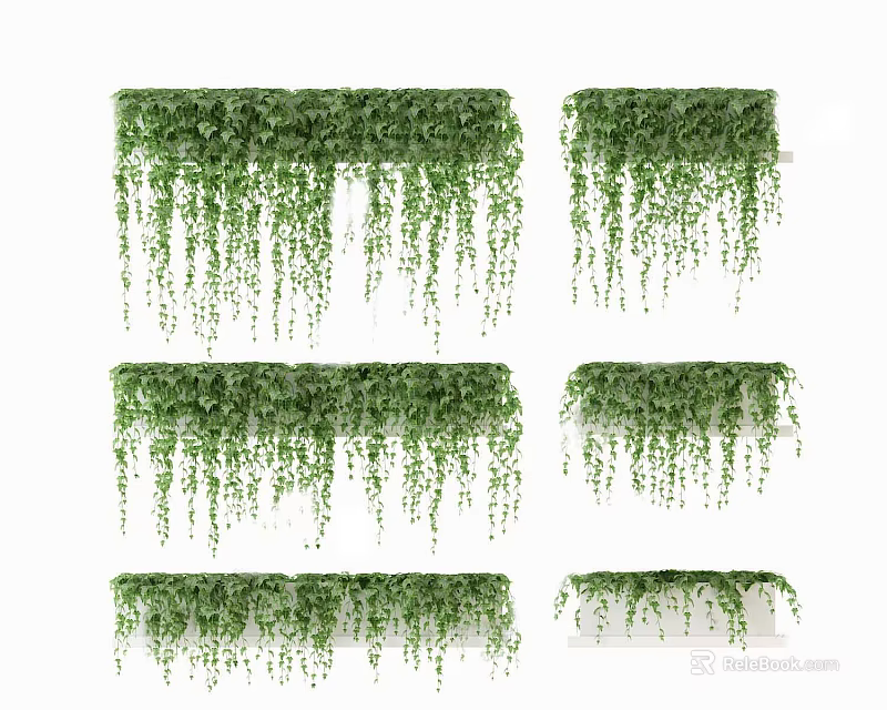 Green Hanging Bonsai Potted Plants with Trailing Vines and Lush Foliage 3d model 