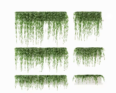 Green Hanging Bonsai Potted Plants with Trailing Vines and Lush Foliage 3d model