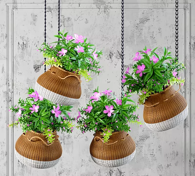 Woven Hanging Basket Plants With Pink Flowers Chain Hung On Gray Wall 3d model