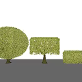 Pruned Green Shrubs with Round Square and Low Rectangular Shapes for Garden Landscape Design 3d model