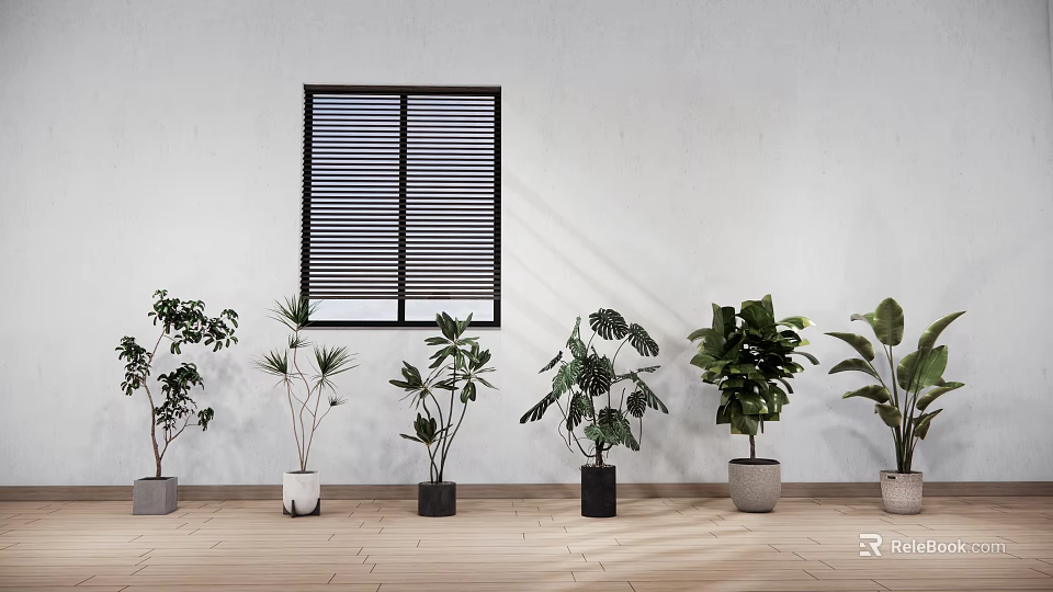 White Wall With Black Louvered Window And Various Potted Plants On Wooden Floor 3d model 