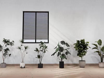 White Wall With Black Louvered Window And Various Potted Plants On Wooden Floor 3d model