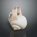 Beautiful Natural Aquatic Animal Seashell Featuring Spiral Structure White Brown Patterns