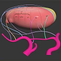 3D Rendered Human Brain Model With Colored Regions And Colorful Connecting Lines On Black Background
