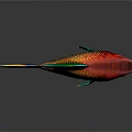 Artistic Vibrant Colored Aquatic Fish With Large Fins Shiny Scales And Colorful Tail