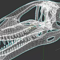 Reptile Dinosaur Skull Fossil Skeleton With Sharp Teeth And Anatomical Features 3d model