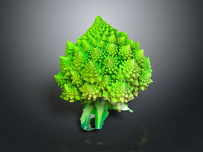 Fresh Romanesco Broccoli Featuring Vibrant Green Color and Unique Spiral Florets 3d model