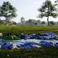 Scenic Microtopography Featuring Green Grass Trees Small Stream Stones And Distant Hills
