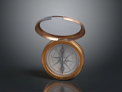 Vintage Brass Compass With Hinged Lid And Classic Navigation Dial Design 3d model
