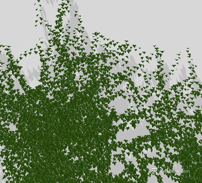 Climbing Green Vines With Lush Dense Leaves Growing On Wall Surface 3d model 