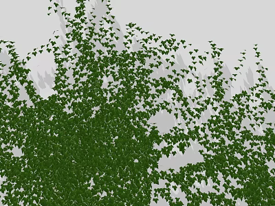 Climbing Green Vines With Lush Dense Leaves Growing On Wall Surface 3d model