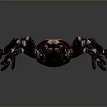 Detailed Large Brown Spider With White Striped Legs On Gray Background