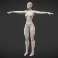 Minimalist Low Poly Human Character 3D Model Design With Geometric Facets