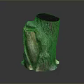 Natural Arbor Tree Stump with Green Brown Bark and Textured Surface 3d model