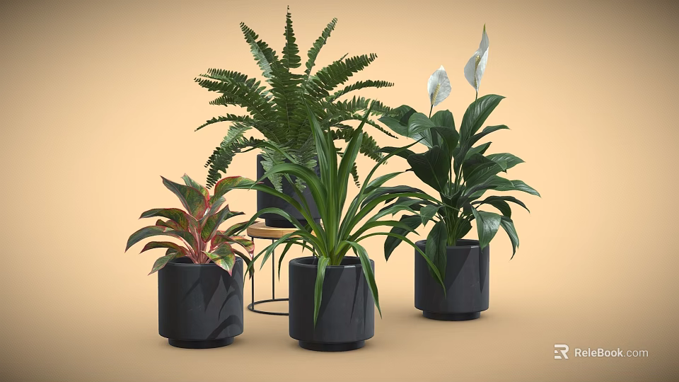 Modern Indoor Potted Plants With Green Ferns White Lilies In Black Cylindrical Pots 3d model 