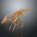 Dinosaur Organ And Hair Features In Skeleton Model With Orange Bone Structure