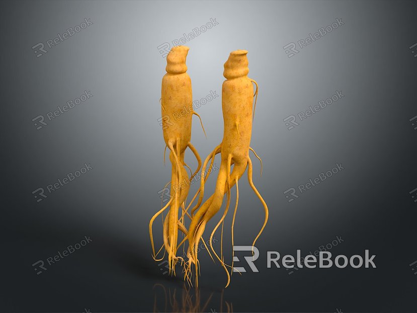 Ginseng, Codonopsis Ginseng, Salmonellae Ginseng, Gaolishen, Herbal Plant Life Supplies model