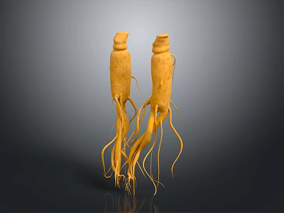 Two High Quality Natural Fresh Ginseng Roots As Daily Life Health Products 3d model