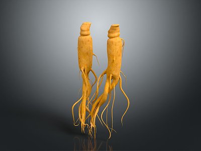 Ginseng, Codonopsis Ginseng, Salmonellae Ginseng, Gaolishen, Herbal Plant Life Supplies model