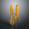 Two High Quality Natural Fresh Ginseng Roots As Daily Life Health Products