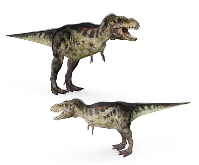 Modern dinosaur Tyrannosaurus 3d model