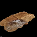 Square Brown Beige Fur Rug With Natural Soft Cozy Texture For Home Decor
