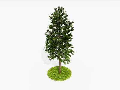 Tall Arbor With Lush Green Leaves Standing On Green Grass Patch 3d model