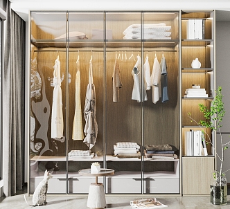 modern wardrobe glass sliding door wardrobe 3d model