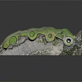 Stone Structure Model With Circular Piers Green Vegetation Covered Top And Gravel Ground