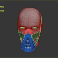 Black Mesh Design Face Mask on White Mannequin Head with Brand Logo and Blue Accents